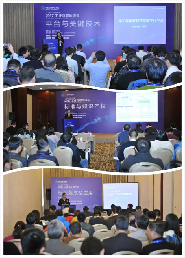 0226_150444_807.jpg 20190111051452182.jpg